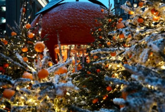 克里姆林宫与红场核心全景一日游【此行程步行较多，建议穿着舒适鞋履。】