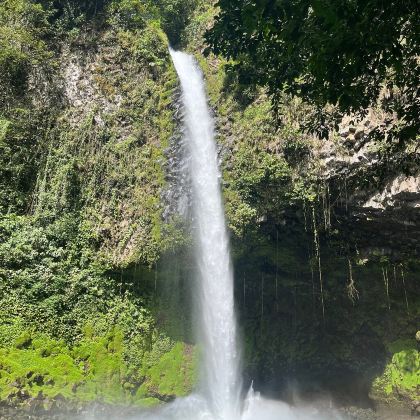 哥斯达黎加拉福图纳瀑布 + 阿雷纳尔火山 + 天然温泉一日游