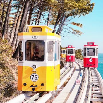 韩国UNESCO庆州古都+天空胶囊一日游 (釜山出发)