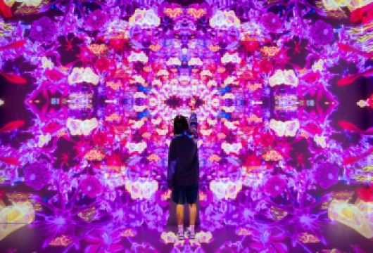 迪拜 House of Hype 之旅和沙漠探险之旅（含烧烤晚餐）【探索迪拜时尚之家，这里有稀有的运动鞋、街头服饰和互动流行文化展览。 乘坐四轮驱动车体验惊险刺激的沙漠冲沙之旅。 在沙漠营地享用烧烤晚餐，同时欣赏肚皮舞和 Tanoura 表演等现场娱乐表演。】