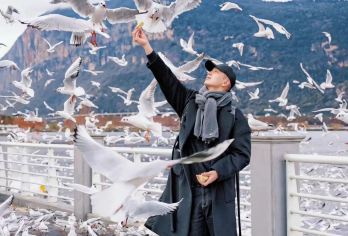 石林风景区+滇池一日游-15人精品小团 + 滇池邂逅海鸥【[丰富玩乐]品当地特色农家私房菜，打造云南高端体验旅游，真纯玩无购物，尽情畅游；】