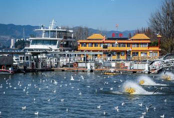 昆明+滇池海埂公园+西山风景名胜区+龙门+昆明一日游【车辆15%空座率，严选安全舒适车辆，优秀当地老司机，熟悉路况，安全驾驶，服务态度好，真诚待客。】