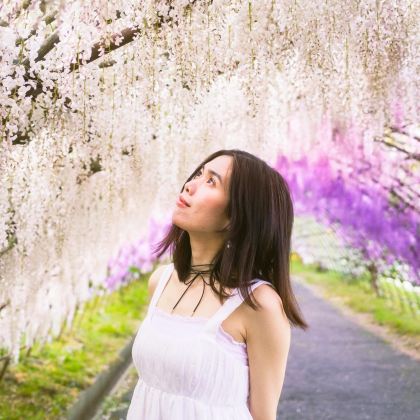 河内紫藤园&门司港复古风情&北九州奥特莱斯购物【福冈出发】