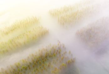 中国江苏东台黄海森林+条子泥景+安丰古街+东台西溪景区一日游【美味餐食：黄海小海鲜；品质保障：精选专业地接导游服务，耐心解说、贴心细致服务 GPS安全空调旅游巴士】