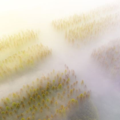 中国江苏东台黄海森林+条子泥景+安丰古街+东台西溪景区一日游