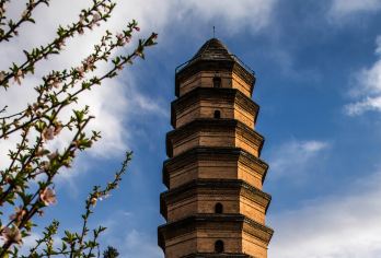 西安出发到延安宝塔山纪念馆枣园杨家岭一日活动（高铁游）【延安火车站接站，随时接驾】