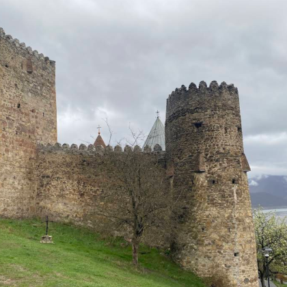 第比利斯-阿娜努日要塞+古多里观景台一日游