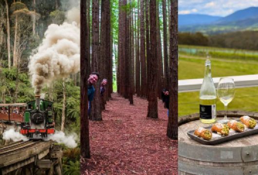 澳大利亚墨尔本普芬比利火车+红杉林+亚拉河谷酒庄英文一日游【普芬比利蒸汽小火车-乘坐澳大利亚百年历史的标志性蒸汽火车，穿越丹顿农山脉的温带雨林。】