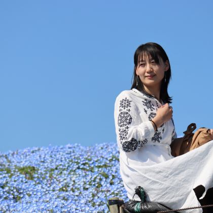 足利紫藤花卉公园＆海滨公园粉蝶花｜东京出发花海巡礼一日游