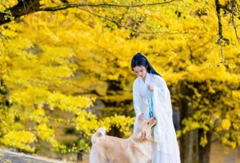 腾冲银杏村+火山+北海湿地+火山公园一日游【秋赏银杏叶金黄】【[2-6人精品小团]人少更自由！拒绝拥挤，随走随停。专属向导贴心带玩，灵活调整行程，像朋友结伴般轻松】