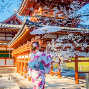 大阪出发 奈良公园+宇治市一日游，喂萌鹿，尝抹茶，赏樱花