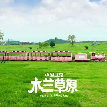 木兰草原一日游【私家团/包车游-家门口出发-7座商务车出行】