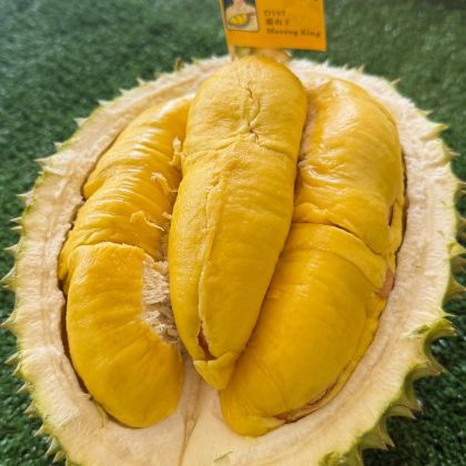 马来西亚黑风洞+榴莲园+GENTING一日游【含标准缆车票】