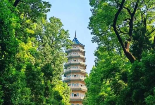 中山陵+音乐台+美龄宫+明孝陵一日跟团游【中山陵+音乐台+美龄宫+明孝陵】