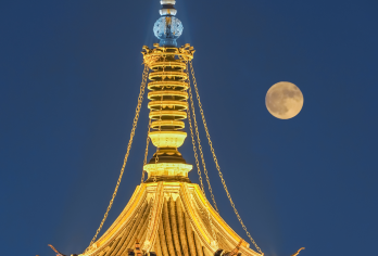 惠山古镇+南禅寺＋南长街一日游【无锡市内 】【说走就走的旅行，真正的纯玩无购物无隐形消费，包含用车、可加订专业导游，让您的旅途更精彩！】