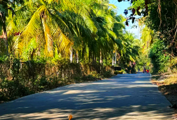 海南陵水往返+南湾猴岛+疍家渔排+疍家博物馆+清水湾1日游【品质出游】