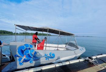 济州岛西南H快艇线追海豚一日游/HAMO/羊驼牧场/山茶花【济州岛西南线网红快艇一日游|HAMO快艇追海豚|景点二选一】