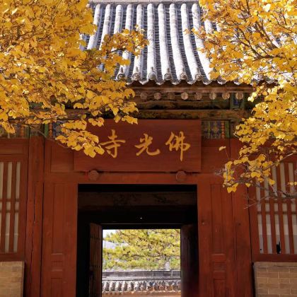 忻州出发佛光寺+南禅寺+洪福寺+延庆寺+广济寺一日游