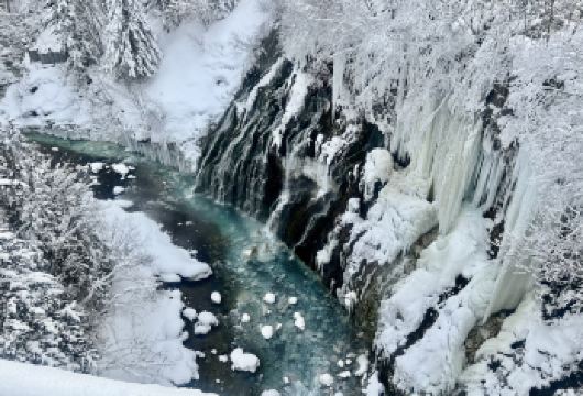 北海道美瑛:四季彩之丘&白须瀑布&精灵露台一日游｜中英粤导游【多语导游服务：提供专业的英语、广东语和普通话导游，全程贴心讲解，沟通无障碍。】