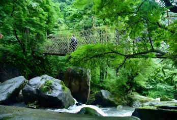 6人团-上门接送-汉中汉江源一日游【[2-6人小团]天天发团，2-3人5座车，4-5人7座车，旅途更舒适，享受自在美好旅行。】