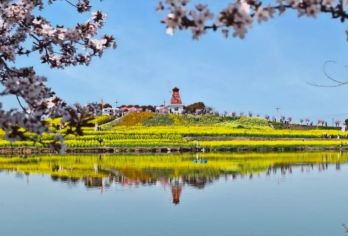 油菜花节*兴汉胜境游园+皇塘花海主会场一日游（4人小团）【兴汉胜境门票+讲解】