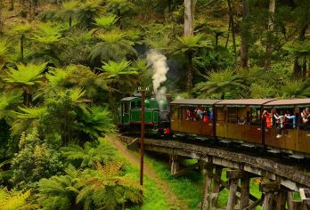 墨尔本普芬比利蒸汽火车+菲利普岛一日游【蒸汽火车/企鹅归巢】【乘坐百年蒸汽小火车穿梭在原始雨林中，身心灵感受丹顿农山脉的美景】