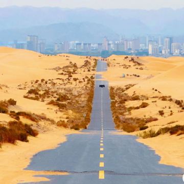 银川出发｜乌海一日游·越野车进沙·网红枯树·拉僧庙·纯玩小团