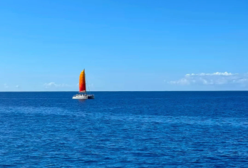 美国-夏威夷檀香山-威基基海滩-恐龙湾-檀香山小环岛-包车游【专业行程定制，精选热门景点，高效游玩不走回头路，贴心服务保障，轻松】
