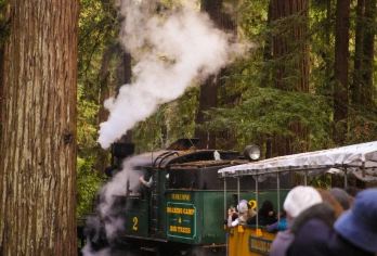 旧金山圣克鲁兹森林蒸汽火车＆司导包车一日游【受旧金山周边小众游，乘坐古董蒸汽火车穿梭在红杉林】