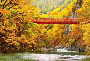 日本北海道定山溪+二见吊桥【秋季限定/中文专车/行程定制】【尊享一对一高端行程定制，多日豪华包车专属礼遇，专业旅行顾问24小时恭候垂询。】