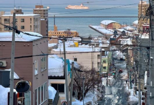 日本札幌市区历史文化探索/可小樽登别富良野北海道多日包车精选【包车一日游，解锁旅行新方式！独立车辆配备经验丰富的老司机，为您量身打造专属行程。】