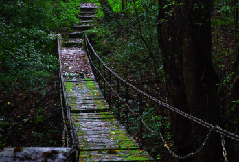 腾冲高黎贡山7Km轻徒步（五道溪一日游）峡谷秋千+飞瀑速降【轻徒步，探秘，美食、森林秘境乐园】