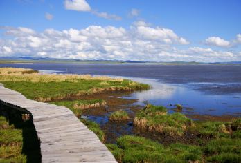 若尔盖草原 、花湖一日游·8人纯玩团·赠送：骑马、藏服体验【[精品小团]5-9座精品小车团】