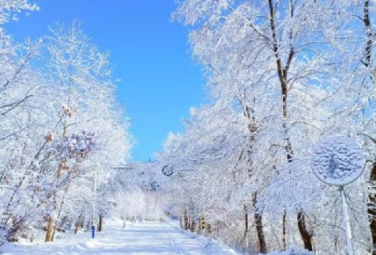 中国雪乡【雪乡内专属区-玩乐景区套票-2-8人小团】【[品质保障]资深旅游行家，全程无购物、无自费、专业团队倾力研发：优质车型、 精华景点。】