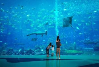 迪拜失落的空间水族馆+棕榈岛+蓝水岛一日游【包车行程可定制】【不拼车，专享包车自由出行】