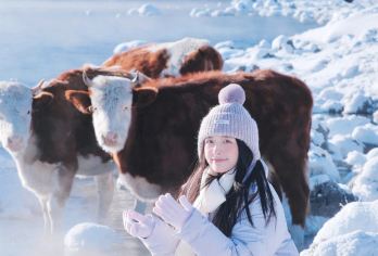 呼伦贝尔大草原+莫尔格勒河景区+额尔古纳湿地一日游【[6人封顶精品小团]每位游客都能享受VIP待遇，灵活调整行程，告别拥挤大巴团，体验真正的自由与深度。】