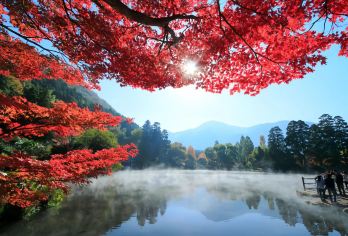 【福冈出发】大分金鳞湖+海灶地狱+自然动物园+汤布院一日游 【游览由布院小镇，尽情享受乡村氛围和舒缓的生活节奏】