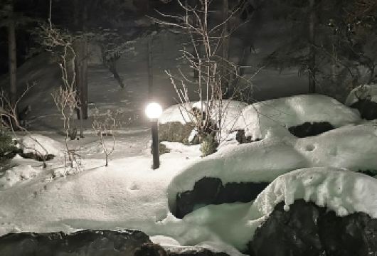 日本登别小樽洞爷湖地狱谷-可札幌富良野美瑛北海道包车精选【包车一日游，解锁旅行新方式！独立车辆配备经验丰富的老司机，为您量身打造专属行程。】