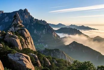 青岛崂山一日游【半自由行/醉美环海公路/品茶观景/青山渔村】【一家一车 小团出行 随叫随停】