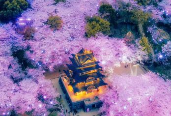 无锡-南禅寺-鼋头渚-南长街一日游 VIP小团 车接车送EA【车接车送，专业地接团队。全天包车8小时，景点可调整，时间自由。】