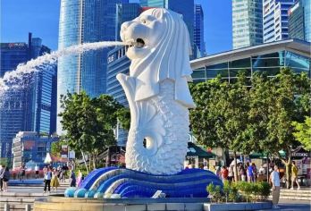 新加坡包车一日游 个性化定制行程 中文司机 全境景点均可安排【赠送填入境卡操作指引｜[中文专车]｜月销100+】