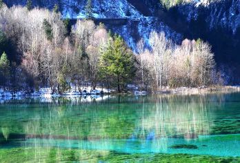 九寨沟风景区一日游【包车游 | 可选.2-8人小团】【[真纯玩•纵享自由]全程纯玩无购物，6小时畅游童话仙境】