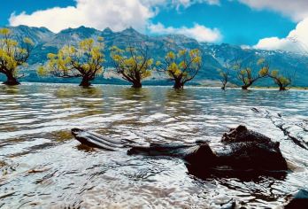 新西兰皇后镇瓦卡蒂普湖+箭镇+金斯顿镇经典游【中文专车】【不用拼团拼车，全程中文司机一对一接送，想走即走，想停即停，行程可调，可定制游。】