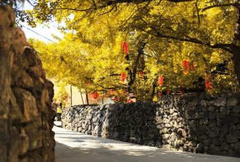 精品小团 | 下一站，相约腾冲，邂逅金秋~【轻触自然，一步一景，不仅是对美景的探索，更是对历史与文化的感悟。】