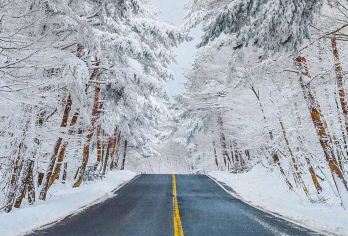 济州岛西南线一日游｜门票全含｜汉拿山+追海豚｜6-15人团【济州岛网红打卡：汉拿山，海豚公路追海豚，橘子咖啡，柱状节理带，挟才海水浴场，涯月邑】