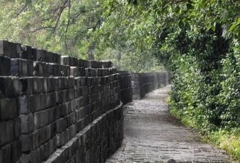 张居正故居+荆州古城墙+荆州博物馆+荆州楚王车马阵包车一日游【[一对一包车]专车上门接送，车辆费用全含，明码消费】