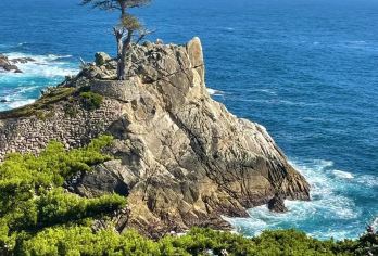 美国旧金山-经典一号公路-蒙特雷-丹麦村-洛杉矶-包车-精选【专属客服和本地中文司机，一家一团包车】