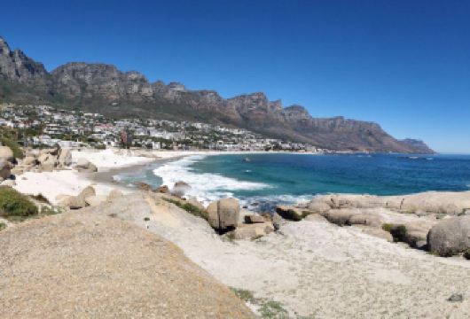 【南非开普敦一日游】街心花园+博卡普+信号山+坎普斯湾【包车成团，尽情体验开普敦风光】