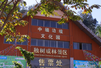 【中缅边境纯玩包车】勐景来+独树成林+打洛国门·一单一团【纯玩 0 购物，边境旅程无套路！打卡勐景来傣寨风情、独树成林奇观与神圣国门】