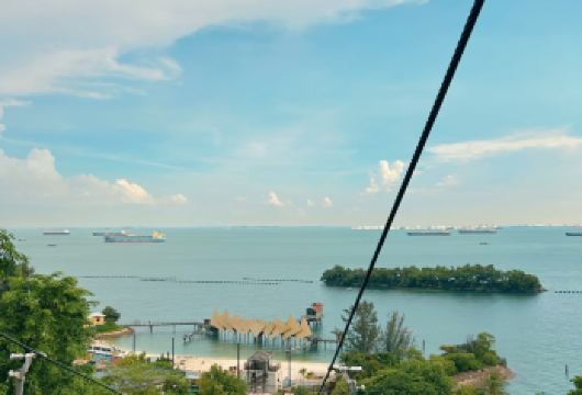 新加坡-滨海湾花园- Duck鸭子船-动物园【市区上门接送】【专属线上管家服务+当地华人司机，给您专业的服务保障】